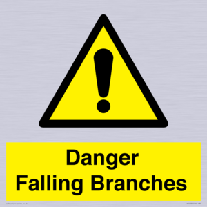 Danger Falling Branches